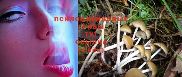 spice Волоколамск