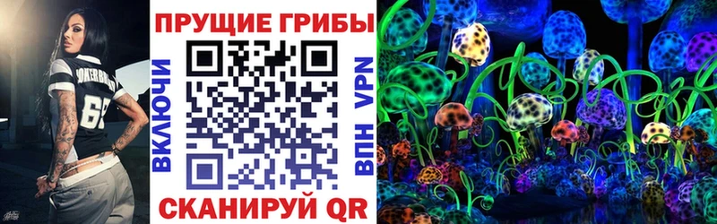 Псилоцибиновые грибы GOLDEN TEACHER  Купить  Болхов 